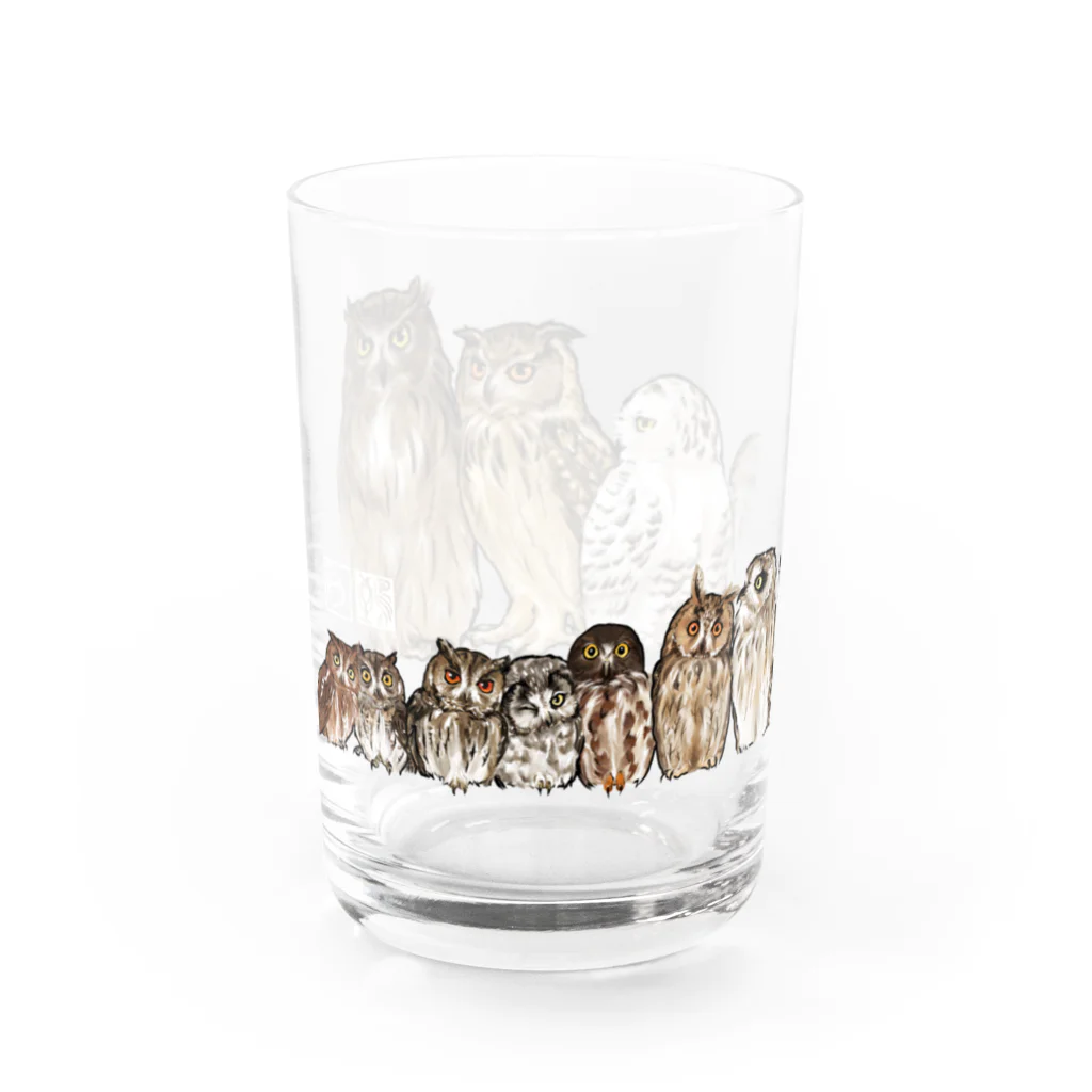 鵄　〜フクロウまみれ〜のせのじゅんフクロウ Water Glass :left