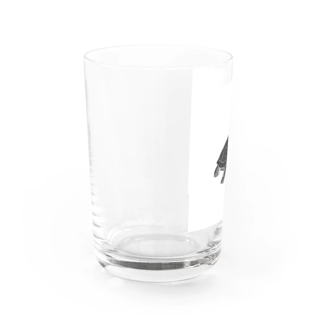 ジンファンタジスタのジンファンタジスタ(タートル5) Water Glass :left