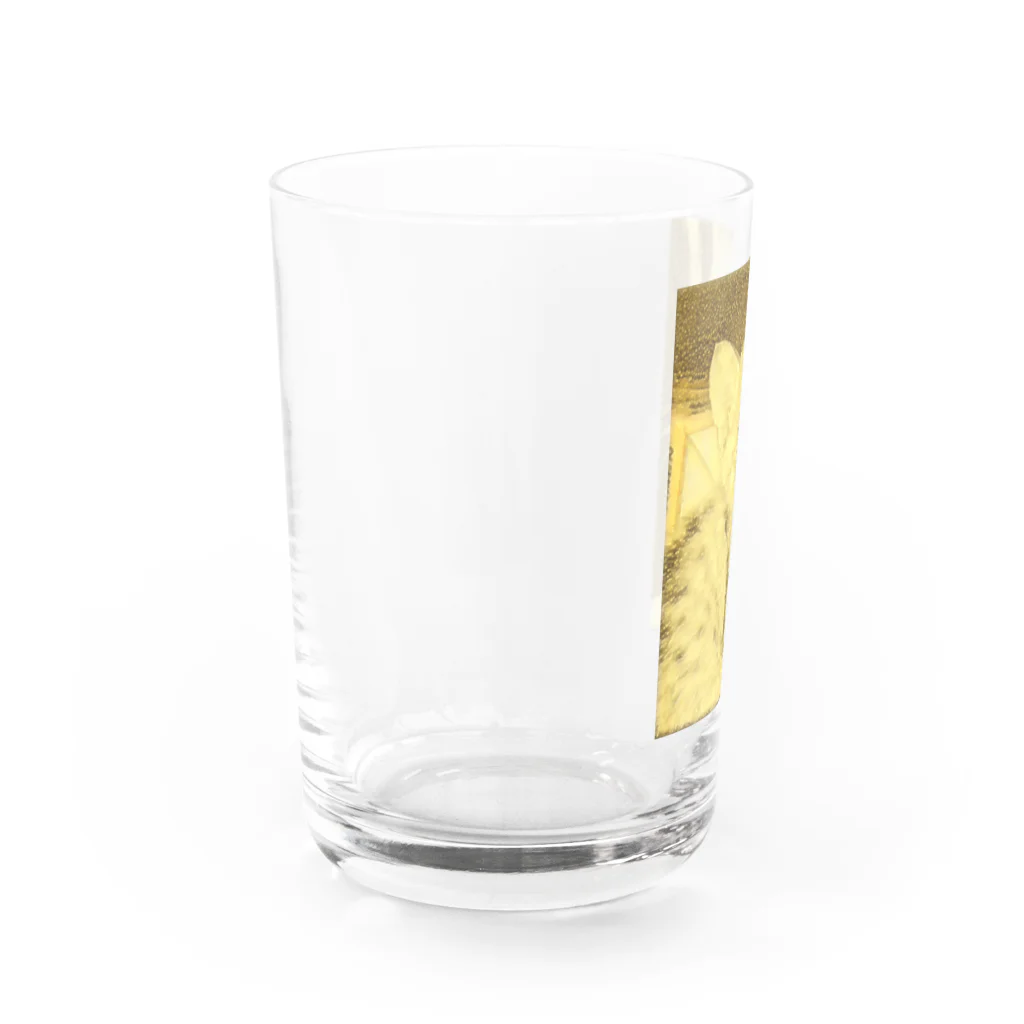 金色猫のキラキラネコ Water Glass :left
