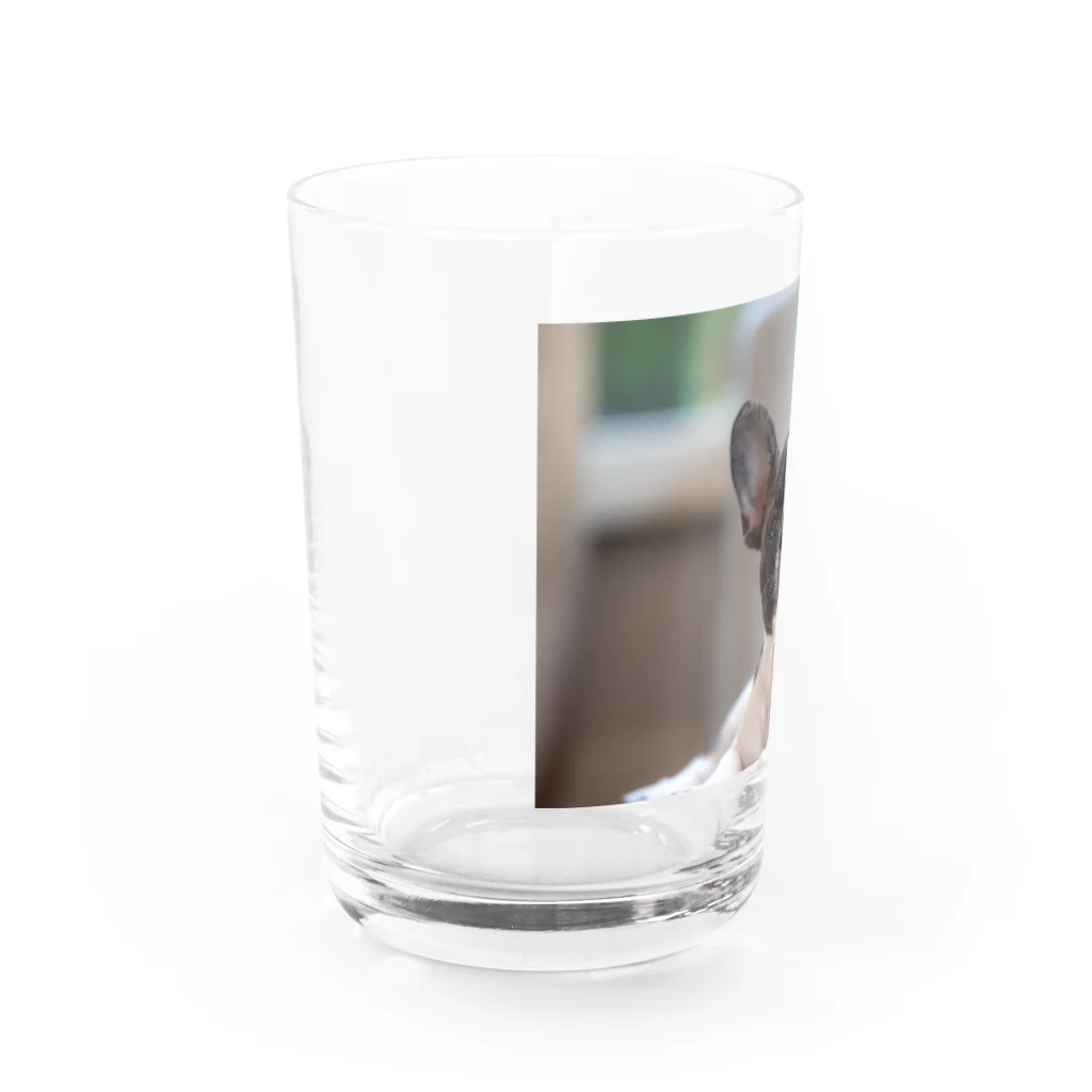 okamemaruの癒し系いぬ Water Glass :left