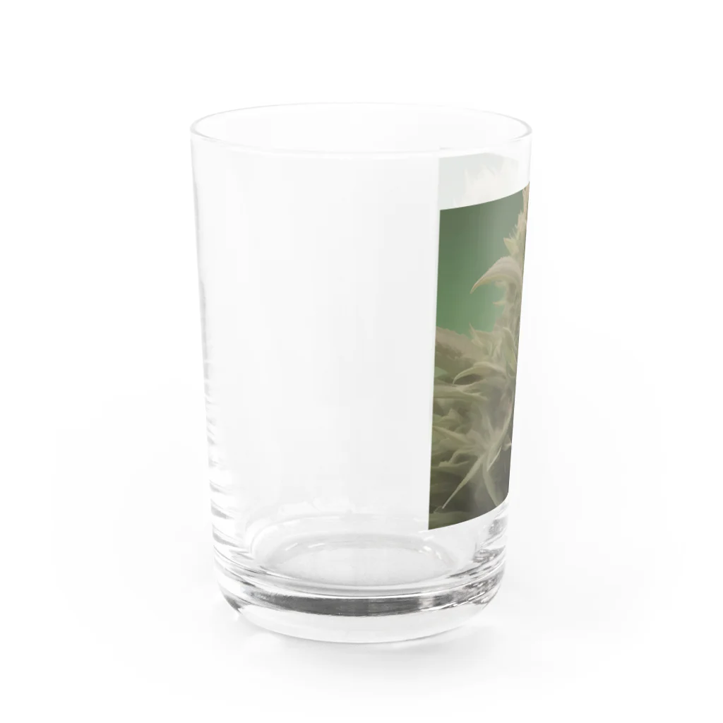 ハイライフコレクションズの42O-0091 フォトゥオーナインティワン Water Glass :left