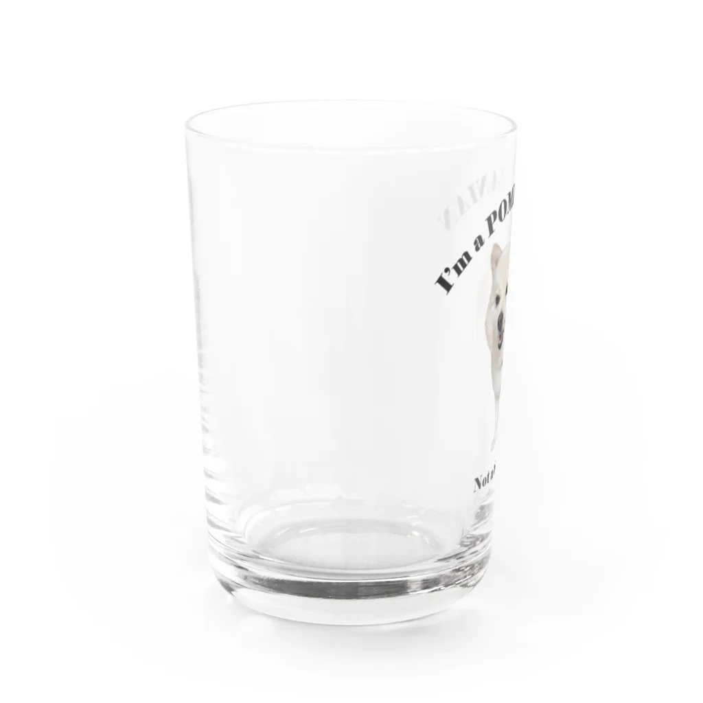 りりこショップのポメラニアンりりこ Water Glass :left