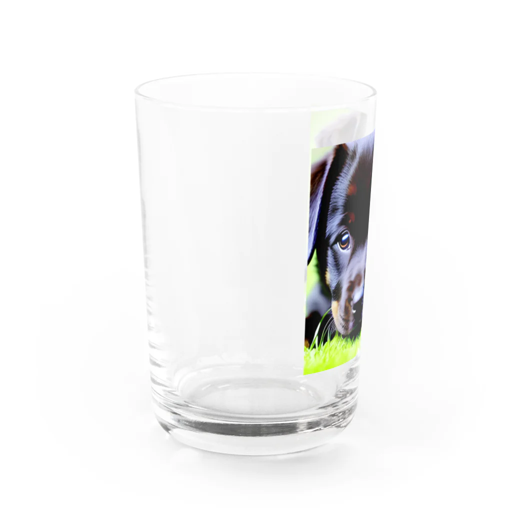 nishijima1の仔犬 Water Glass :left