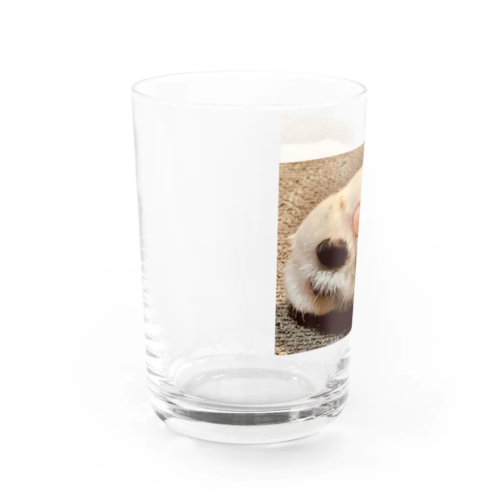 J-GLADSのにくきゅう Water Glass :left