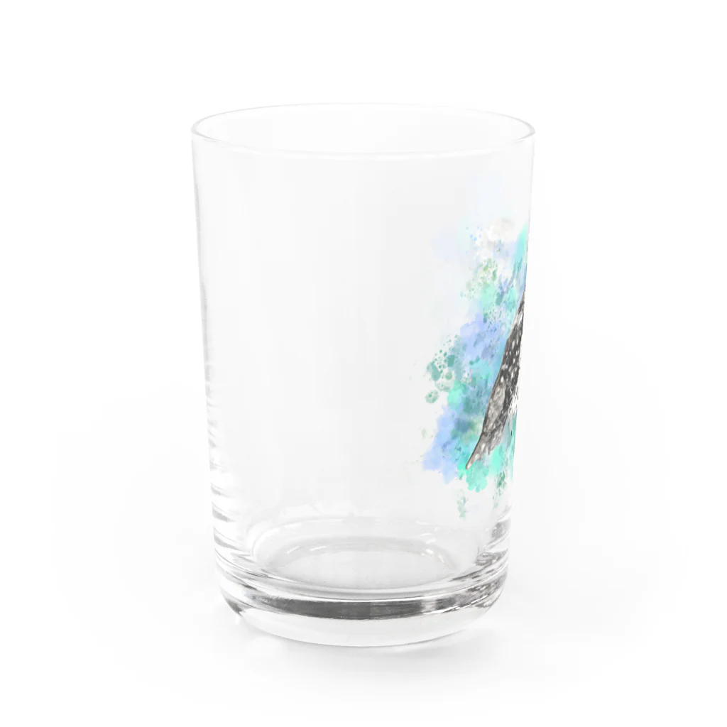 MOMO and MAMAのオーストラリアガマグチヨタカ Water Glass :left