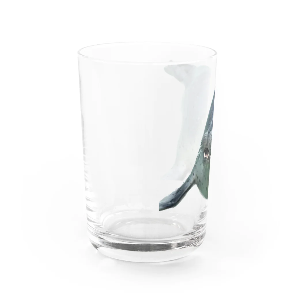 tmy_fの水族館の生き物（愛しのゴマちゃん） Water Glass :left