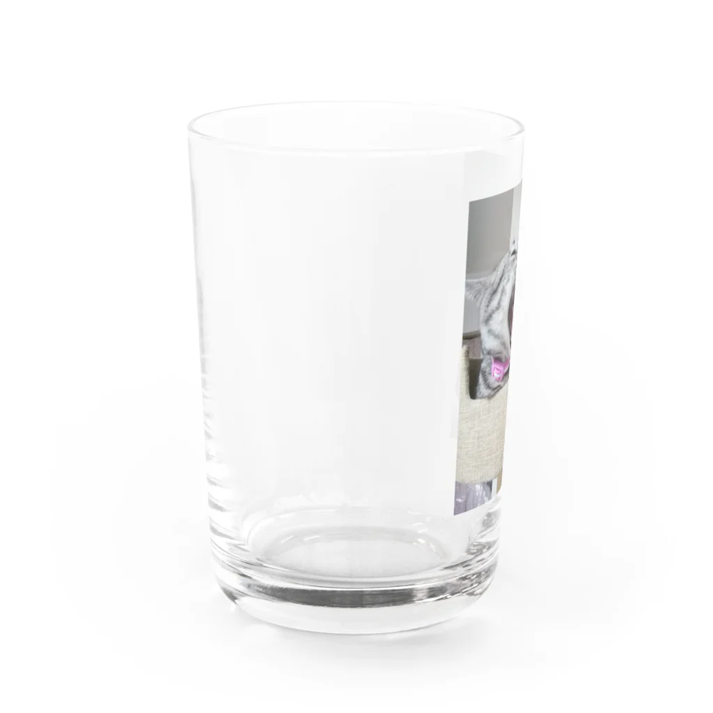 Grayの大怪獣 Water Glass :left