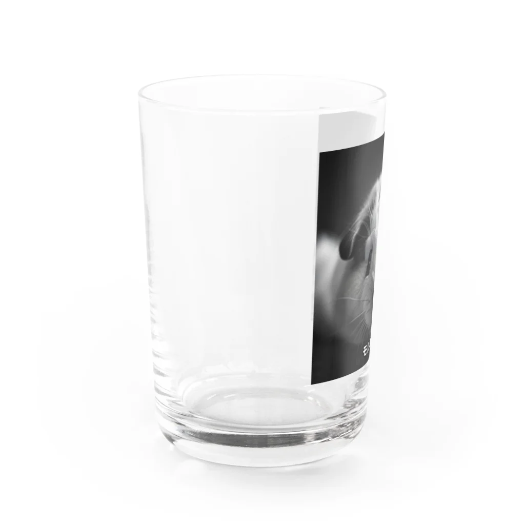 marky09のモルモット Water Glass :left