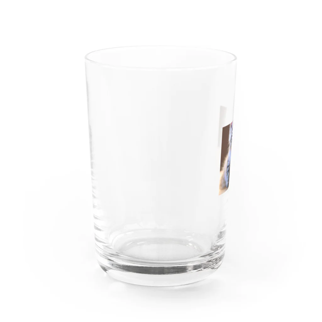 べぇやんショップのにゃんこちゃん Water Glass :left