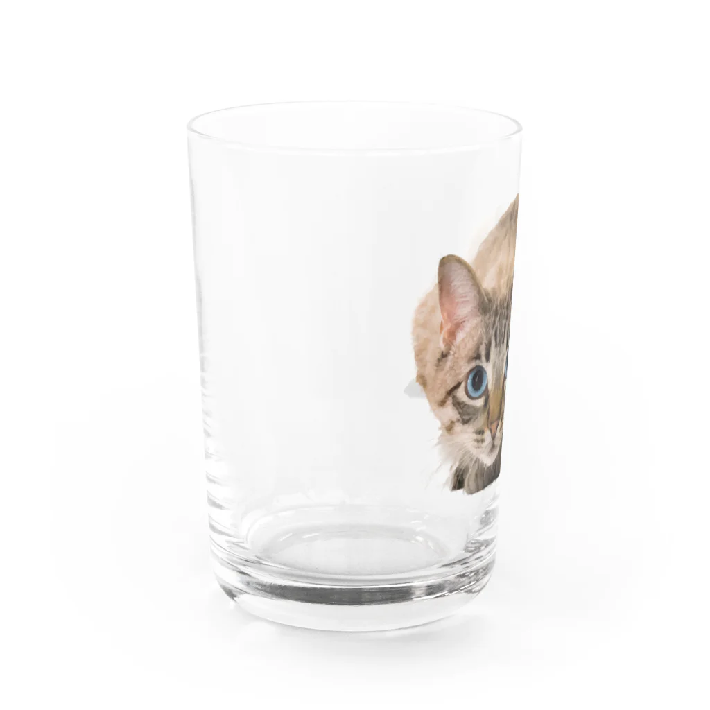 bitpiyoのねこちゃん Water Glass :left