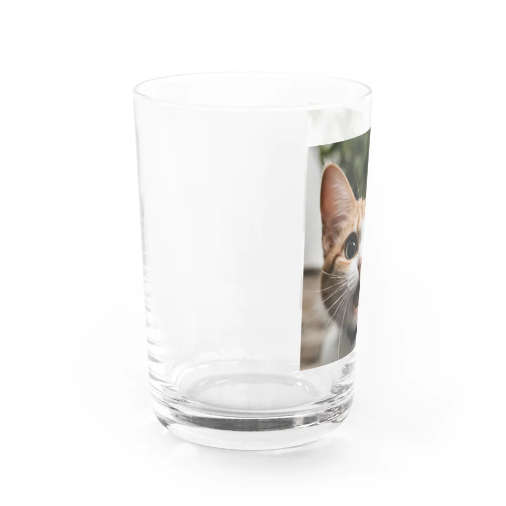 e-necoshopの驚愕する猫さん！ Water Glass :left