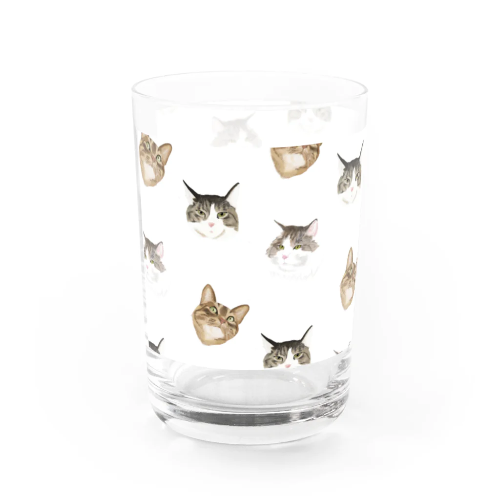 リリー・ティナのニャンズ　パターン Water Glass :left