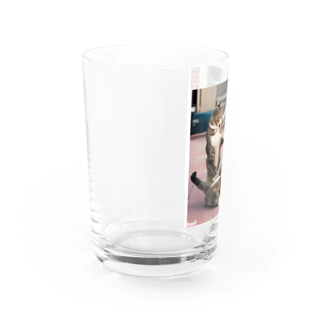 ume's shopの猫の喧嘩 Water Glass :left