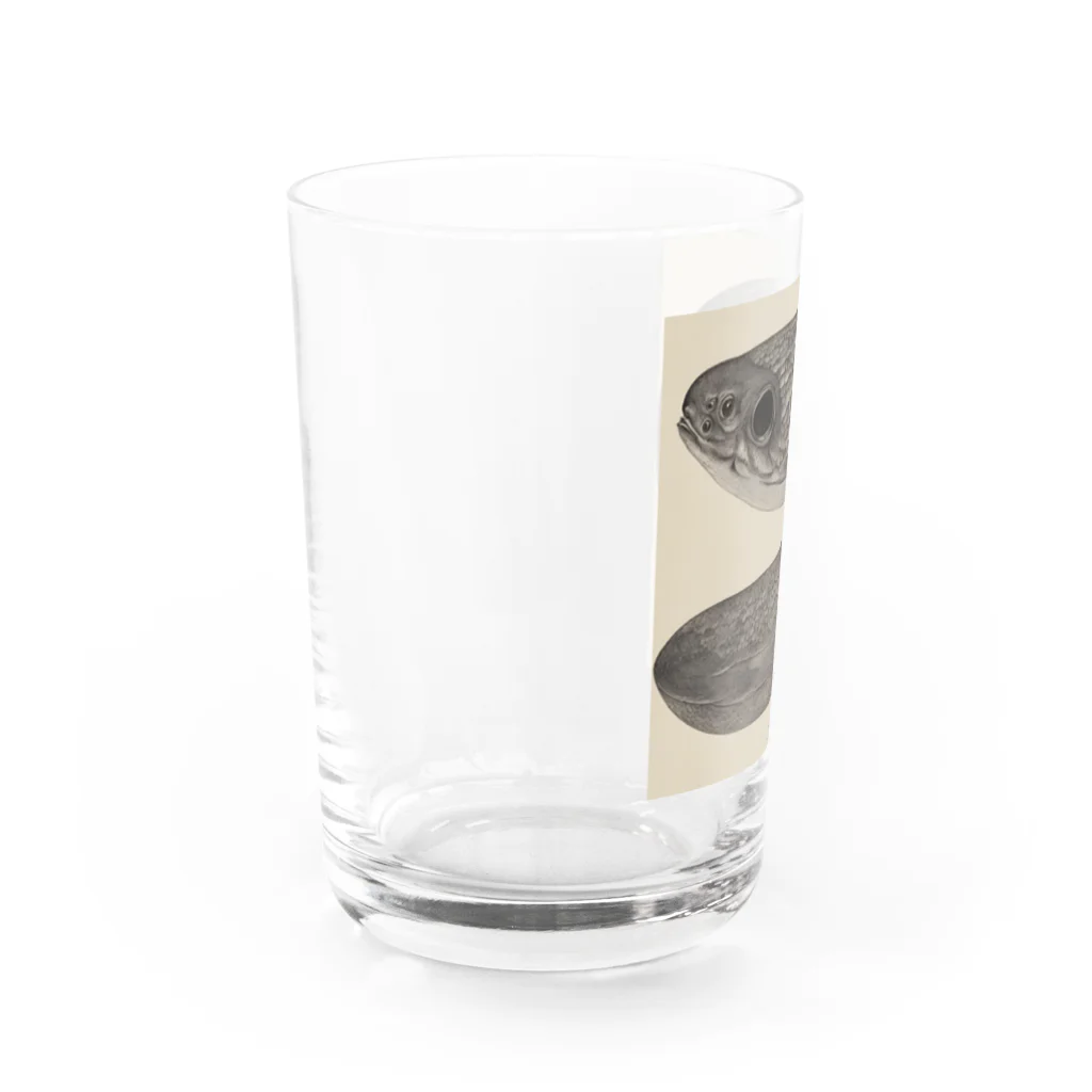 Charliegoneのへんな鰻 Water Glass :left