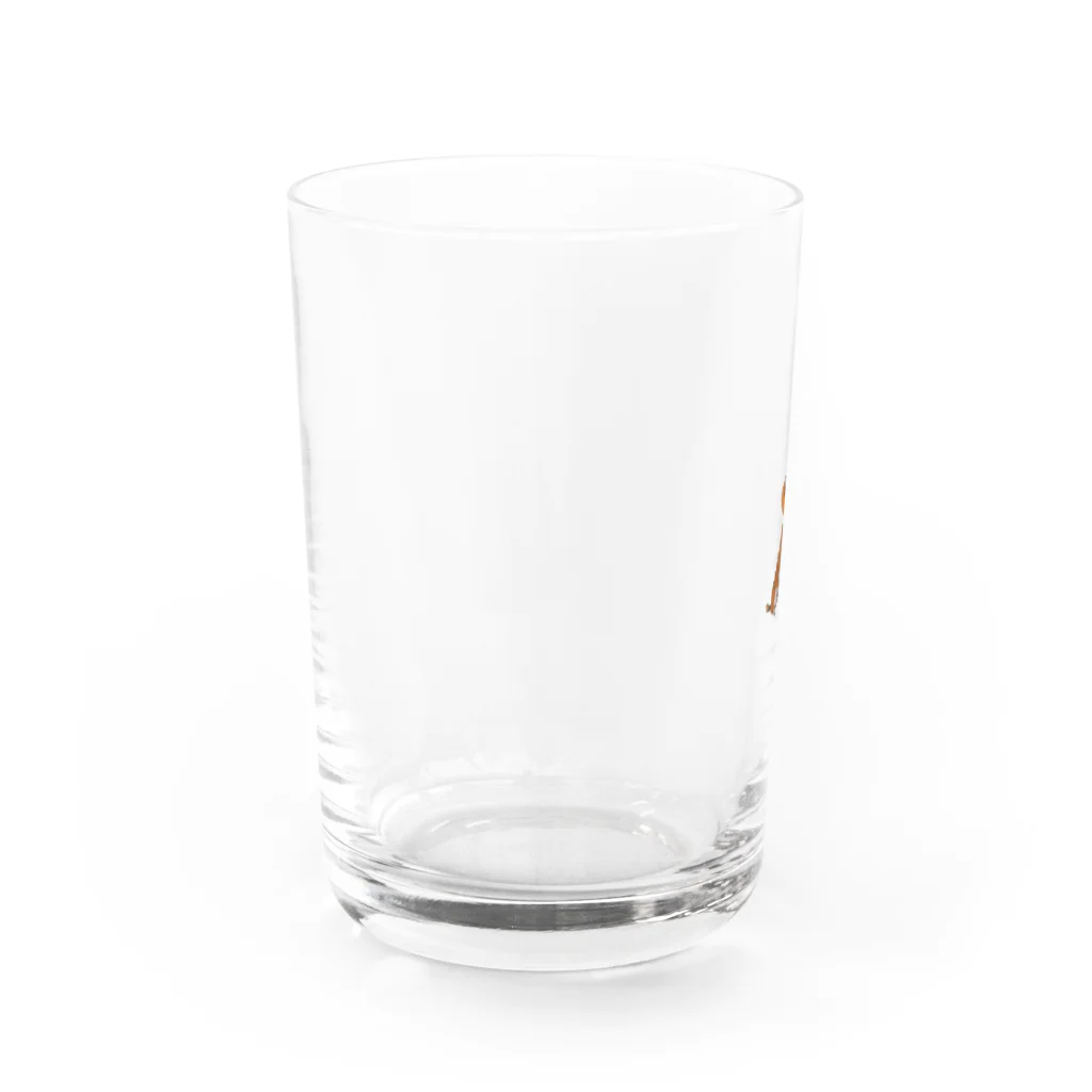 チワワ愛好家ショップの仮装パーティーの主役は極小チワワとかぼちゃのランタン Water Glass :left