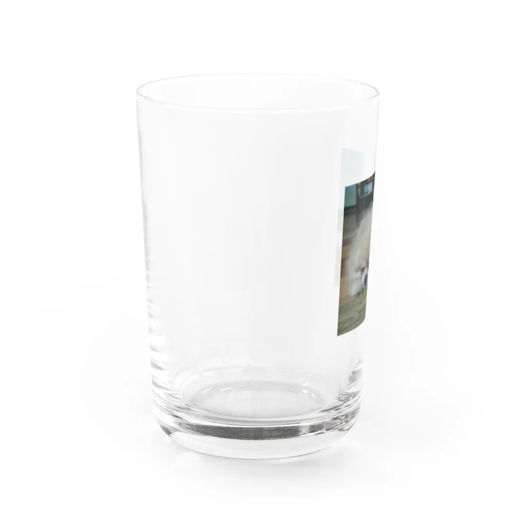 とと吉ショップのととろ Water Glass :left