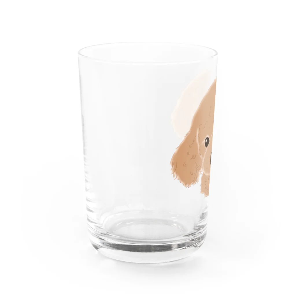 WANPU  by YUn.のアプリコット　トイ Water Glass :left