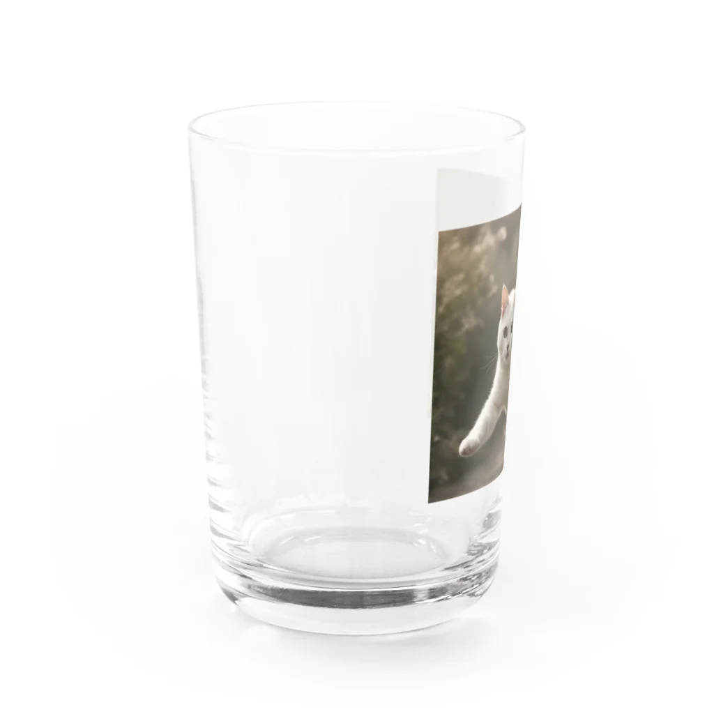 TAIYO 猫好きのフォトプリント美形白猫 Water Glass :left