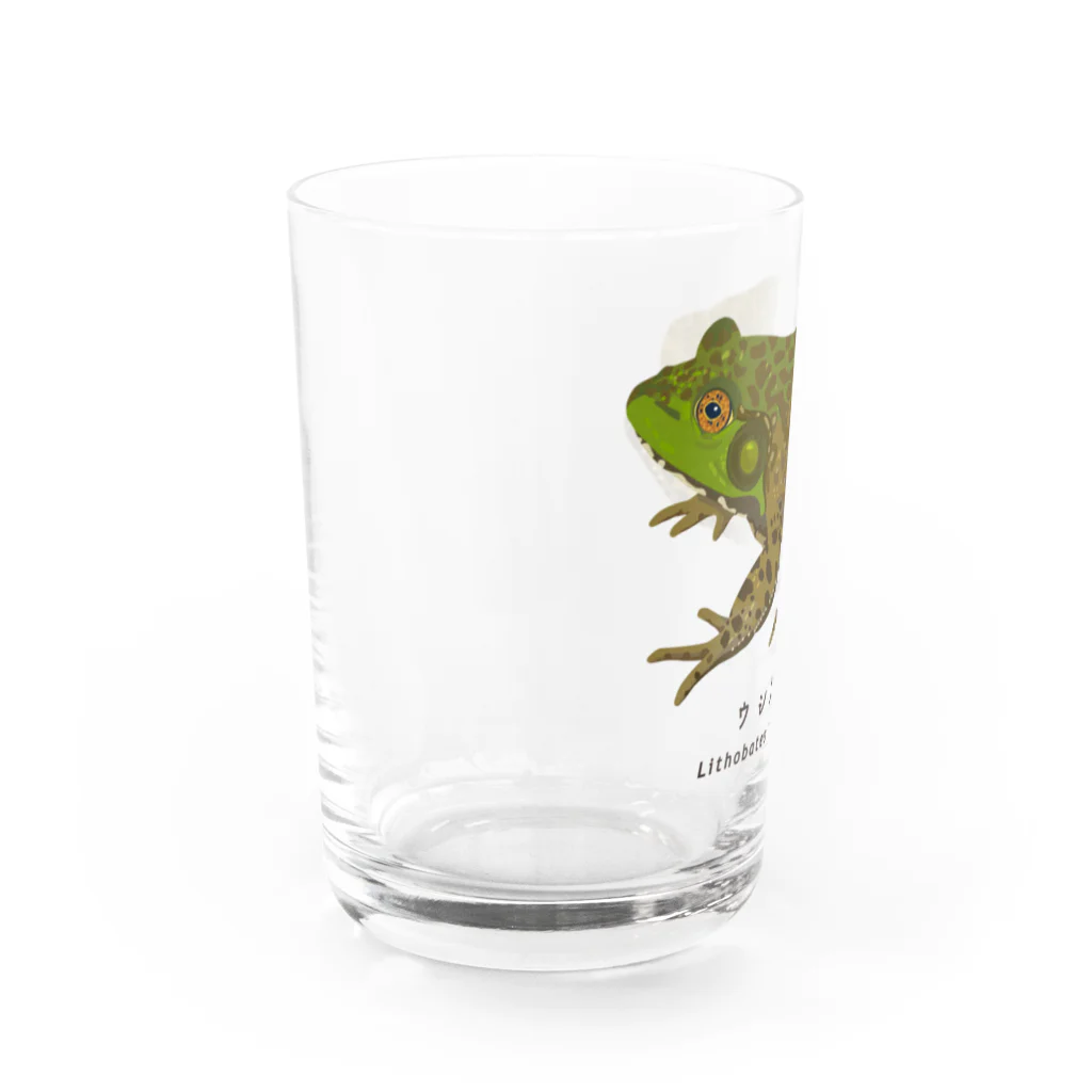 さちこの生物雑貨のウシガエル Water Glass :left