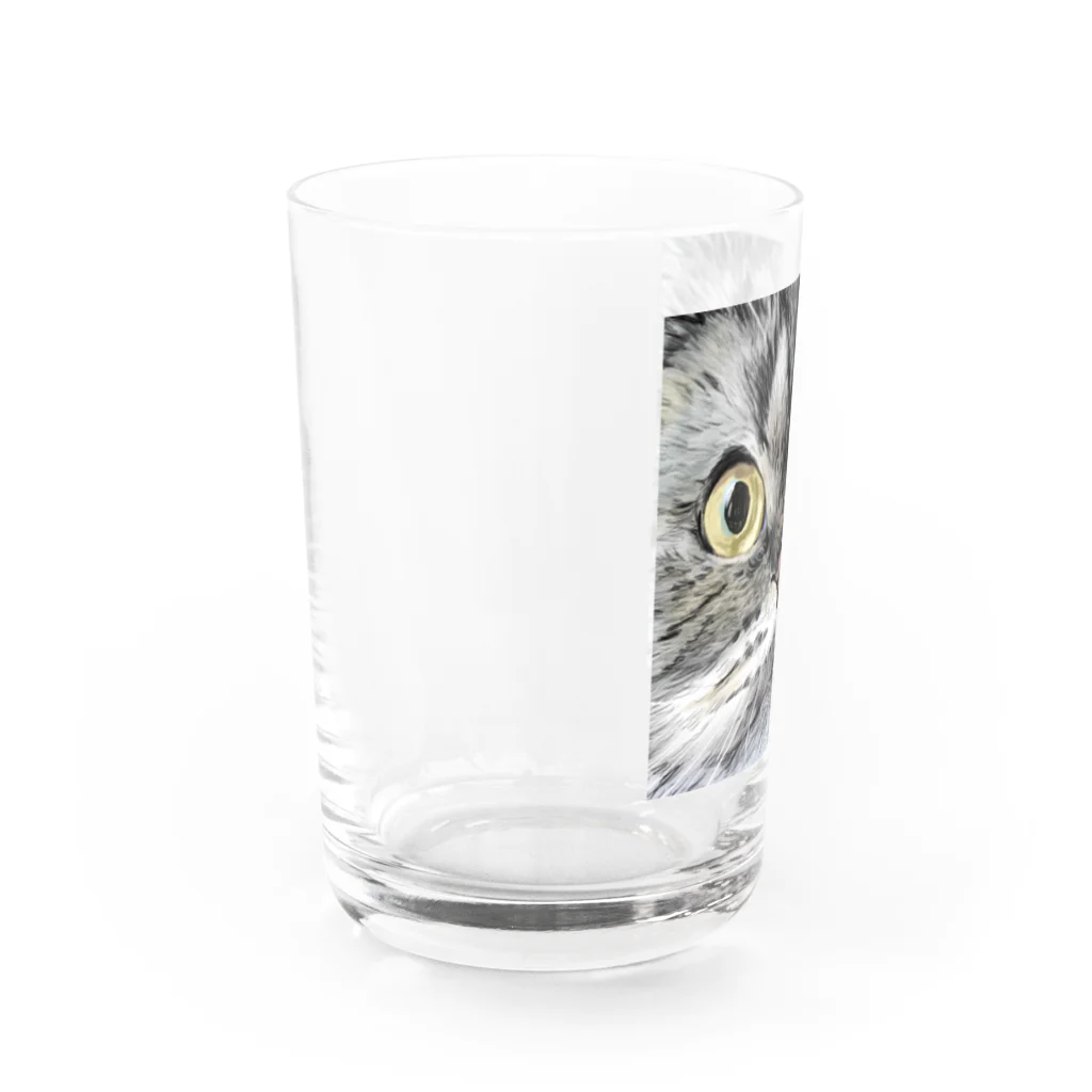 ユカイナミライ舎yukainamirai-miraixxxのRooey Water Glass :left