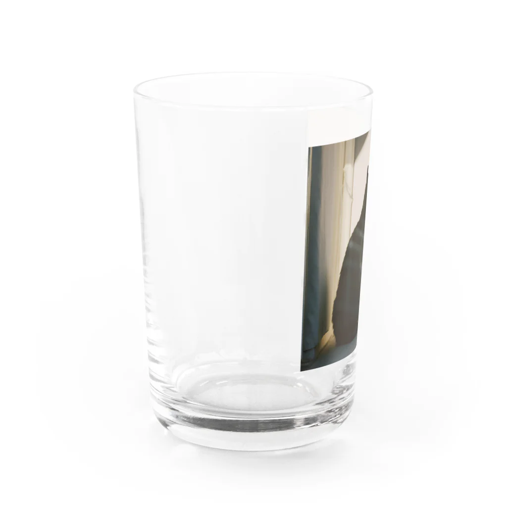 ことこと♂@トレーダーの影シルエット　猫 Water Glass :left