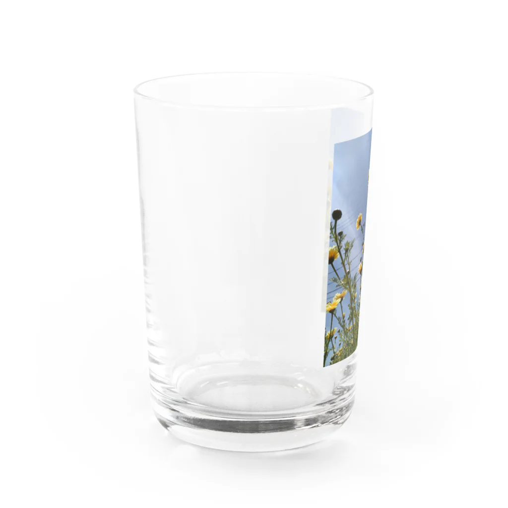 MMの黄色い春菊の花 Water Glass :left