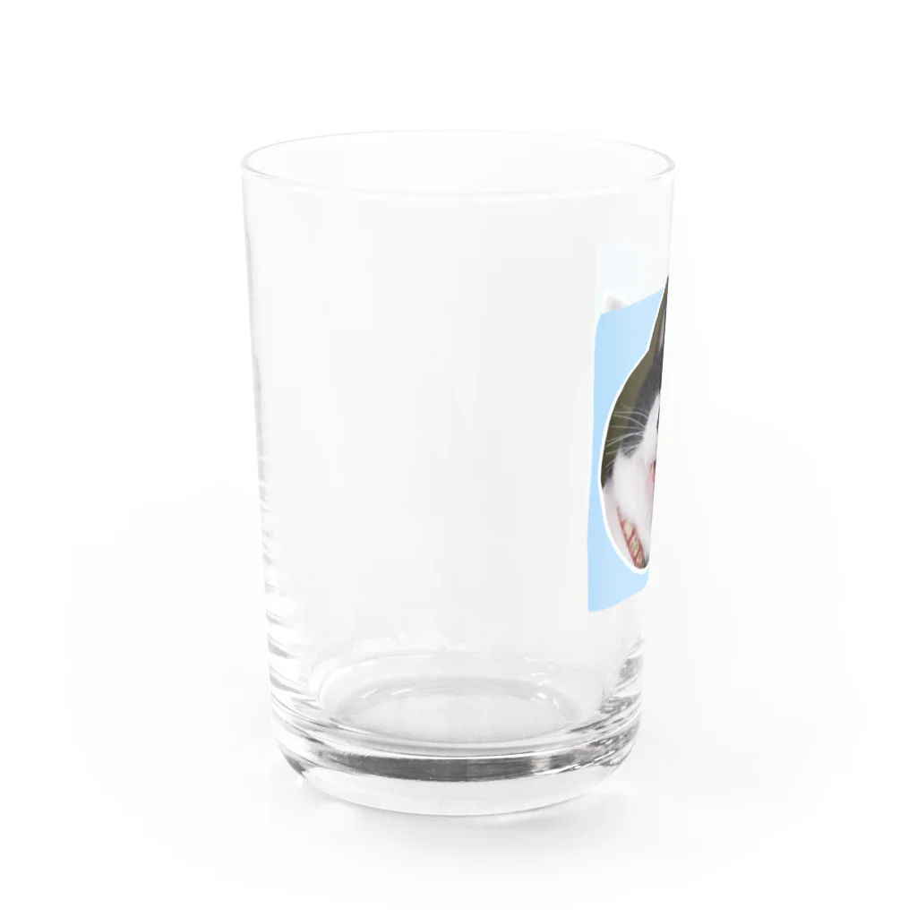 木ノ下商店の眠りこけた猫。2 Water Glass :left