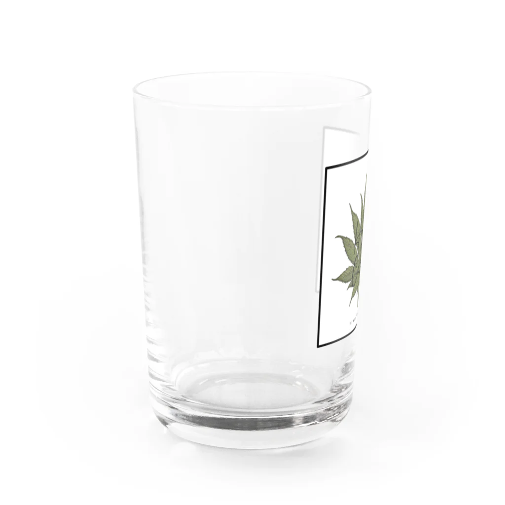 ハイライフコレクションズのハイライフコレクション Water Glass :left