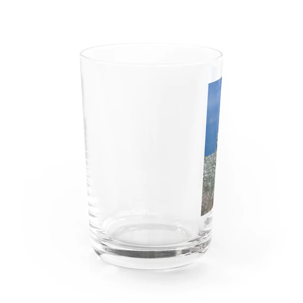 Makoto_Kawano Designの笑うトカゲ Water Glass :left