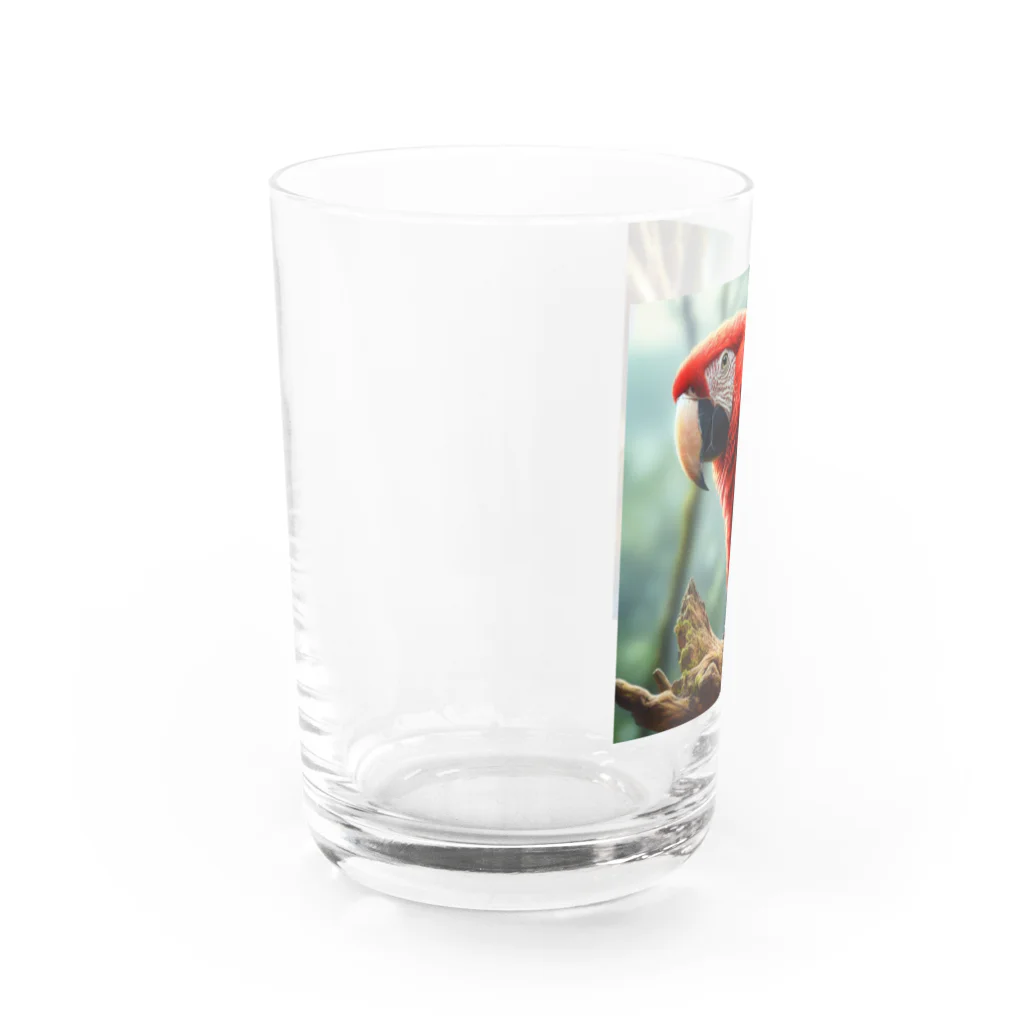 SAKIのコンゴウインコ Water Glass :left