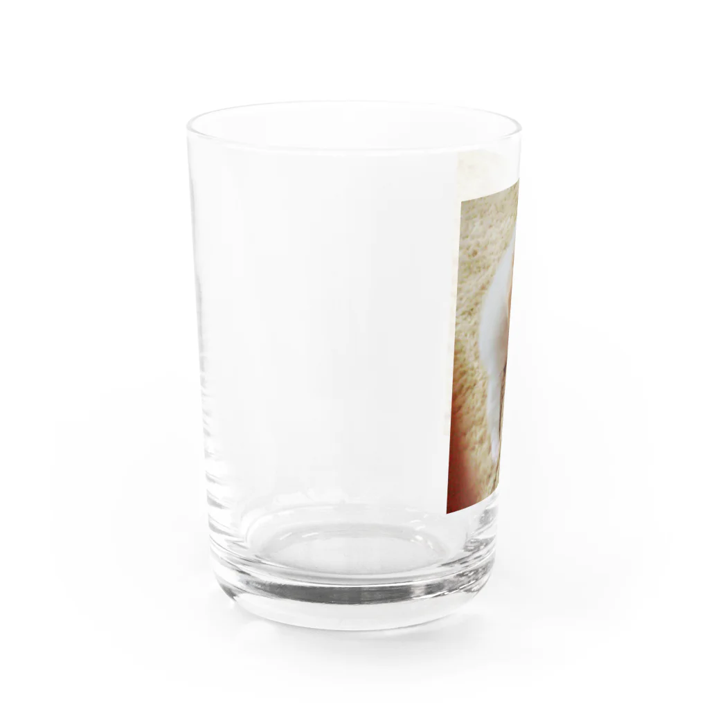 y-gokiのラブリードッグ（みるく） Water Glass :left