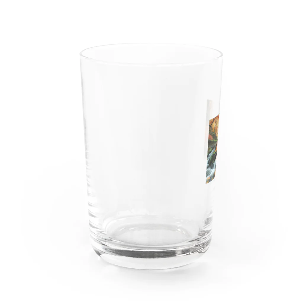 じんパパの紅葉です Water Glass :left