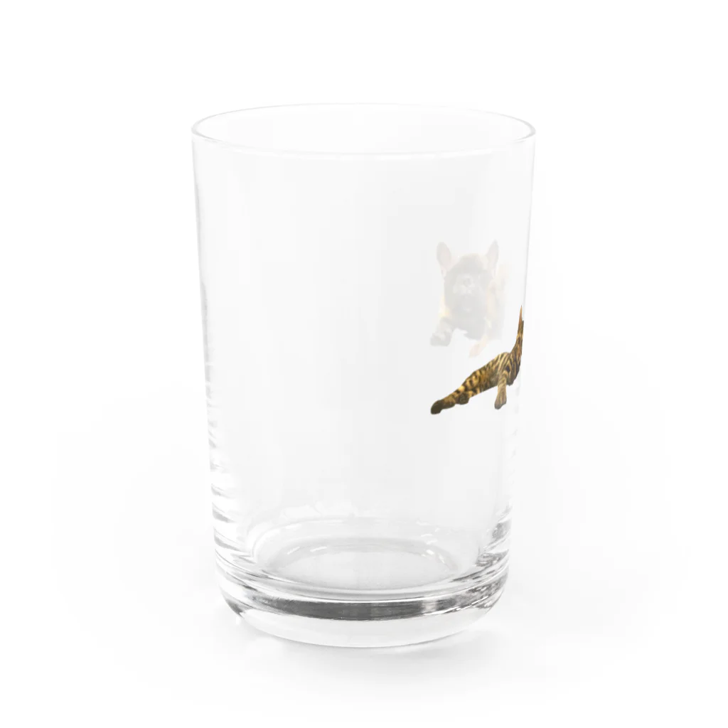 Ru.xxxのトイプードル＆フレンチブルドッグ＆ベンガル Water Glass :left