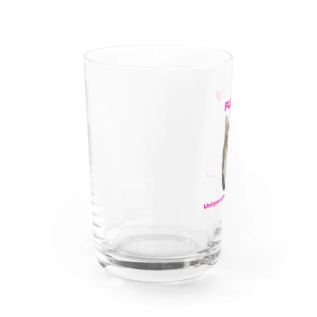 猫の隠れ家のはな第一弾 Water Glass :left