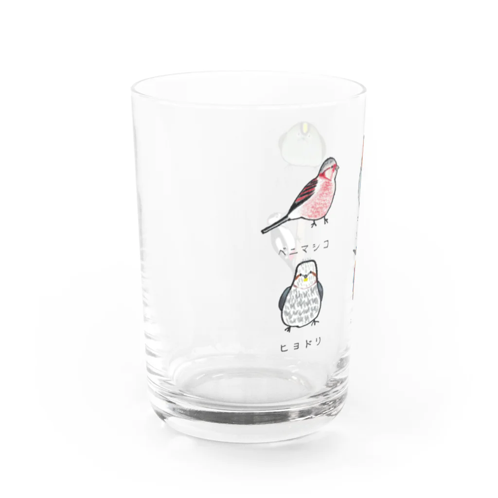 森図鑑の[森図鑑] 日本の野鳥づくし6羽B-2 Water Glass :left