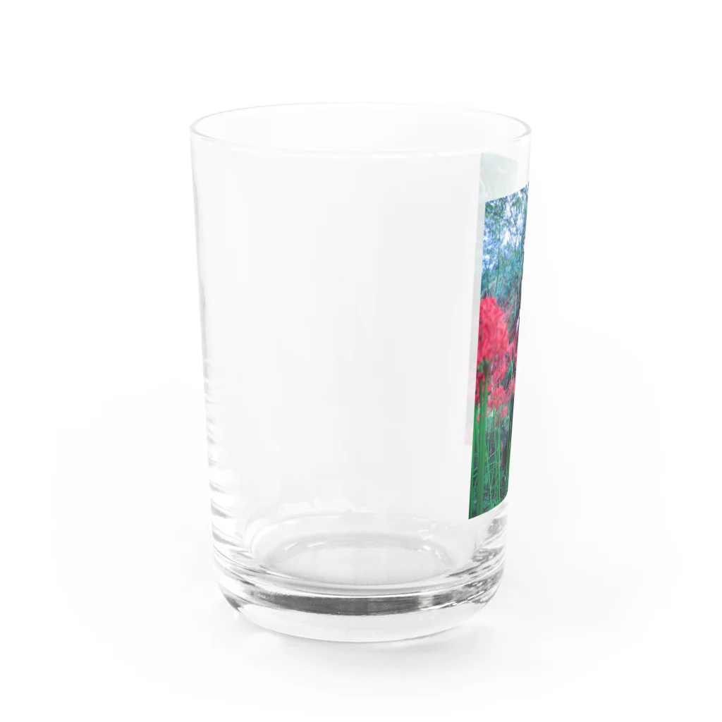 z0t-低予算低コスト製作団体の彼岸花 Water Glass :left