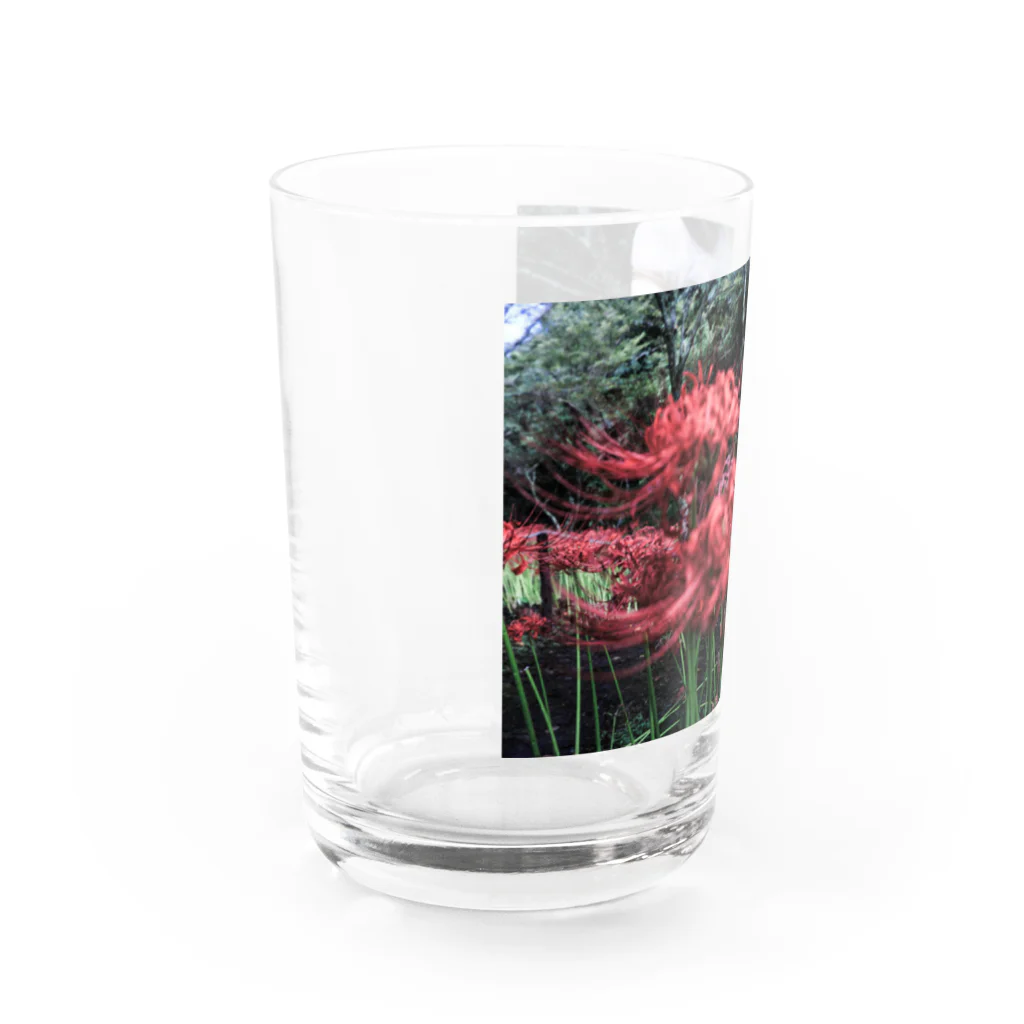 z0t-低予算低コスト製作団体の彼岸花 Water Glass :left