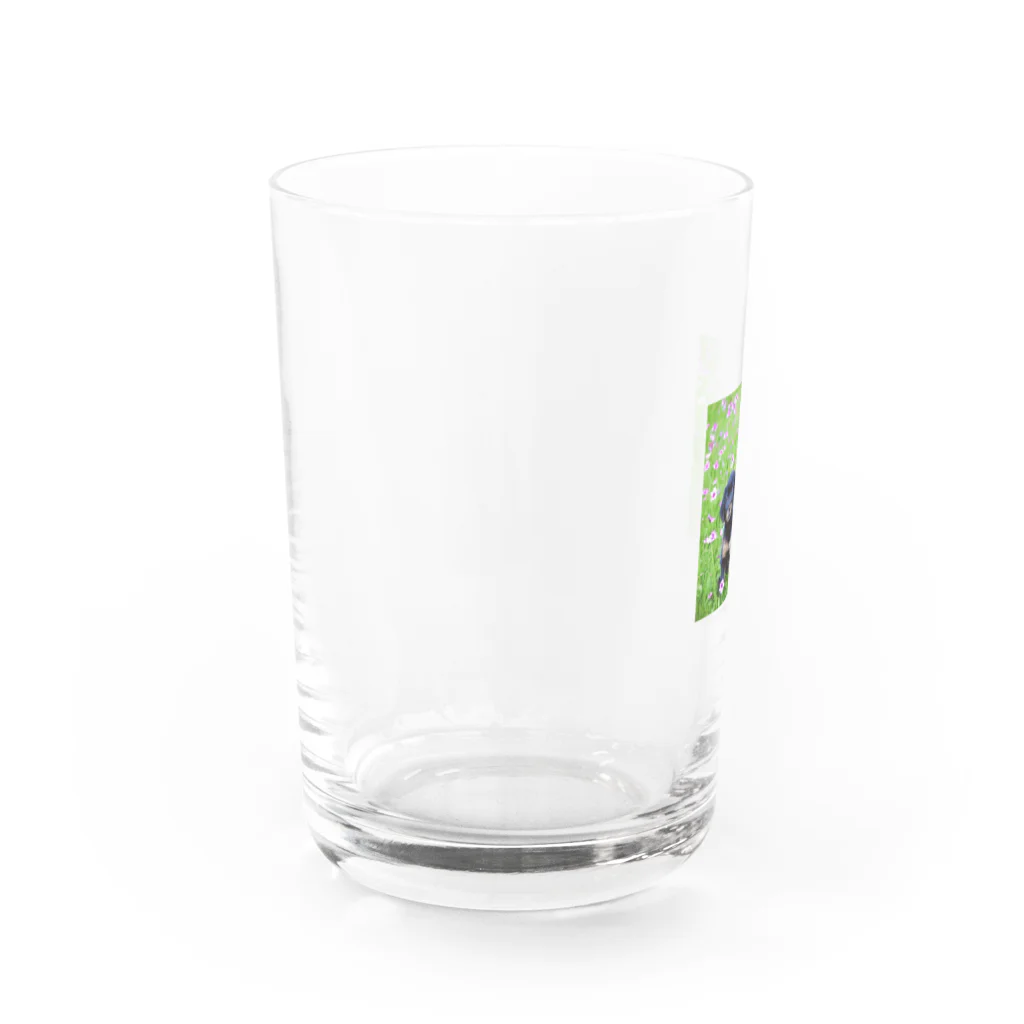 Mami HEXANFTのコスモス畑の癒し Water Glass :left