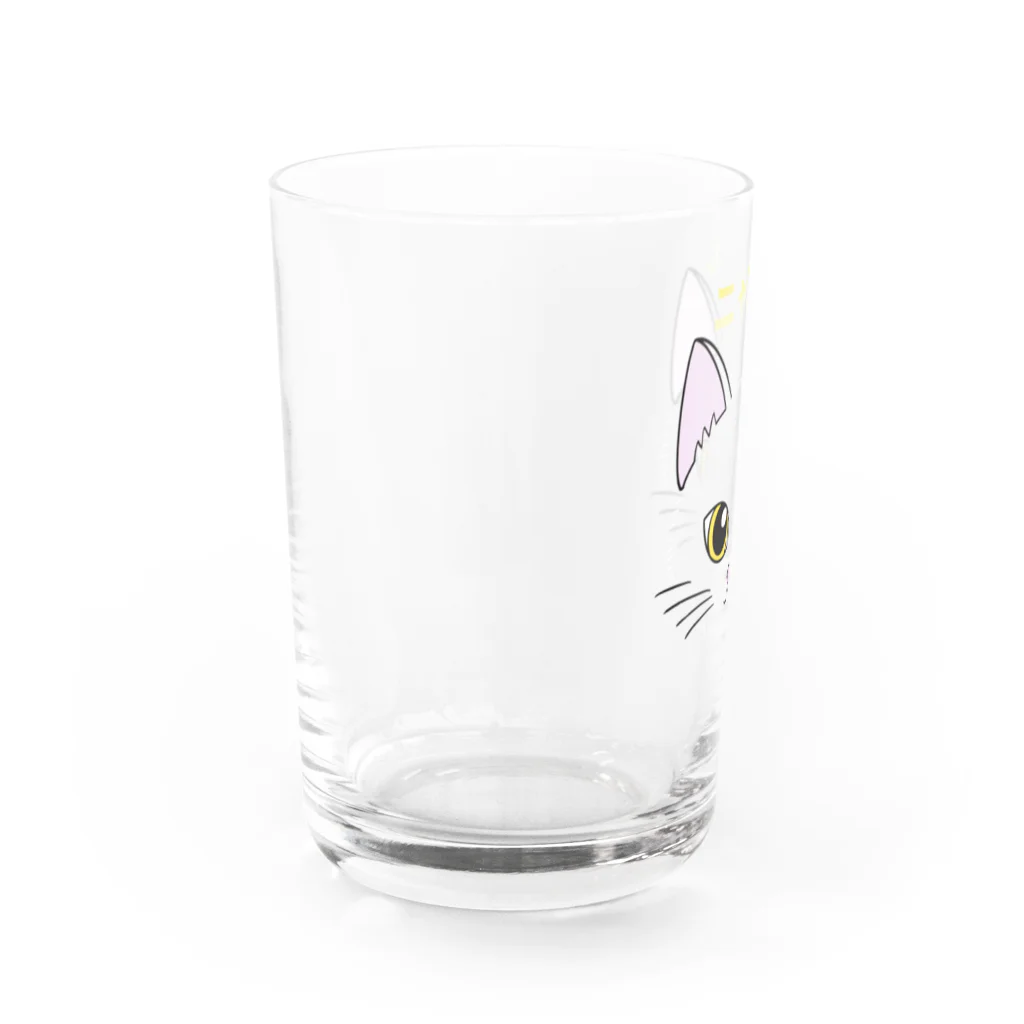 カペリーゴスのニャンでも〜クロ Water Glass :left