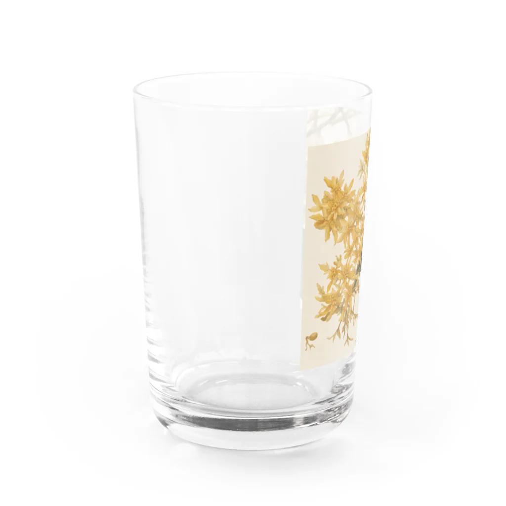 reefmoonのキンモクセイ Water Glass :left