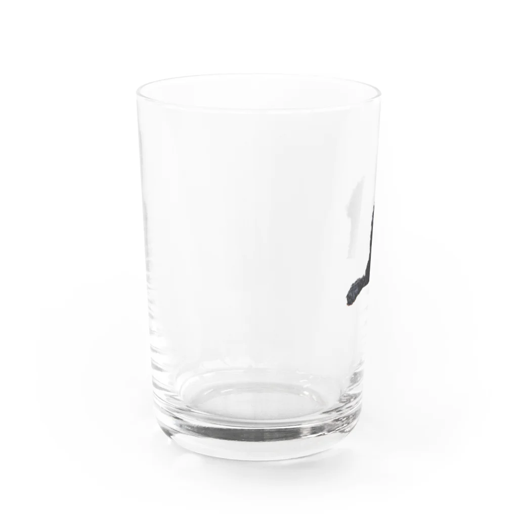 アビシニアコロブスのboss Water Glass :left