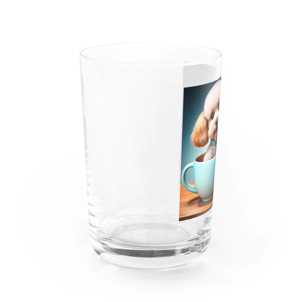 Công ty tròn quây quâyのティーカッププードルのプー太 Water Glass :left