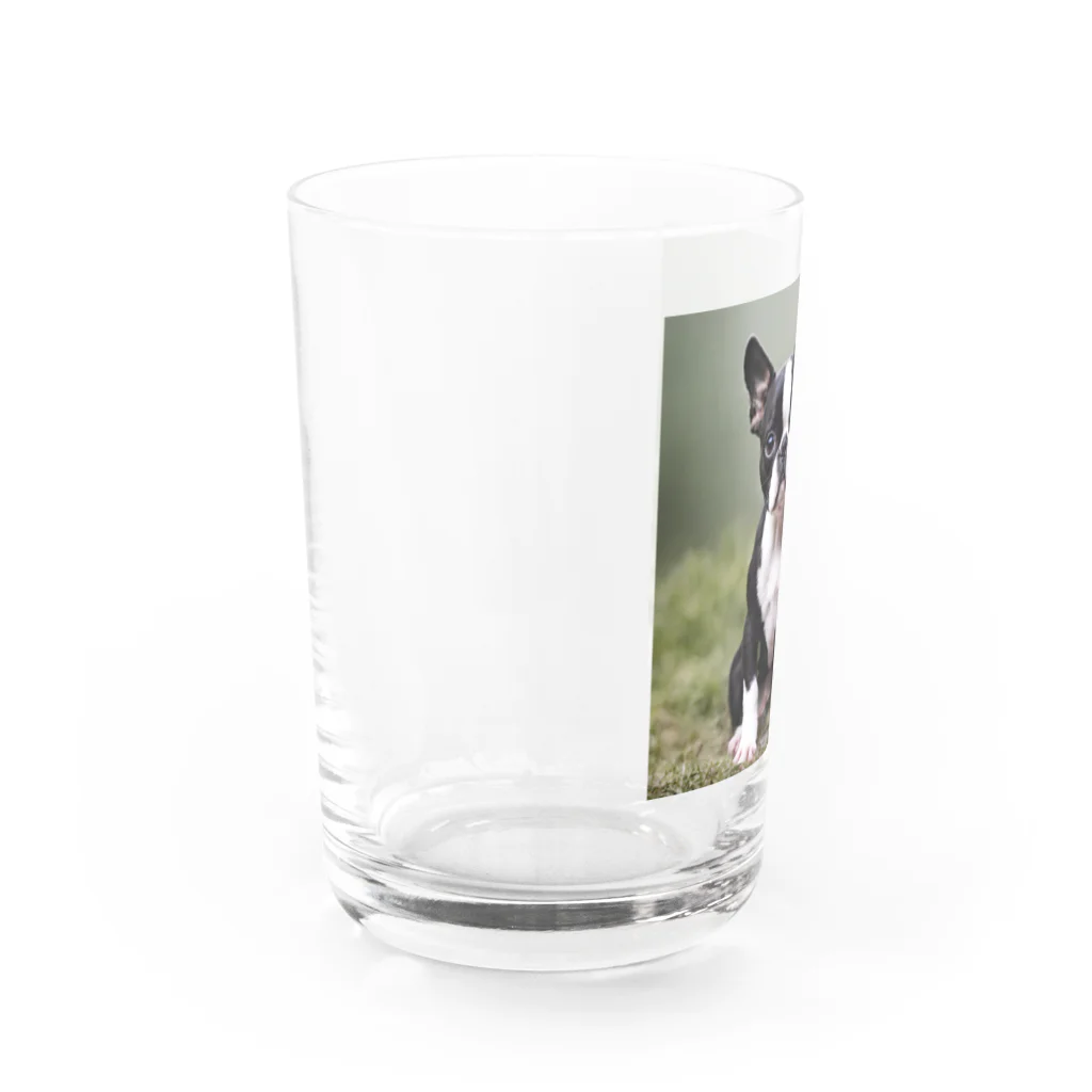 B-ossTonのキュートなボストンテリアのグッズ Water Glass :left