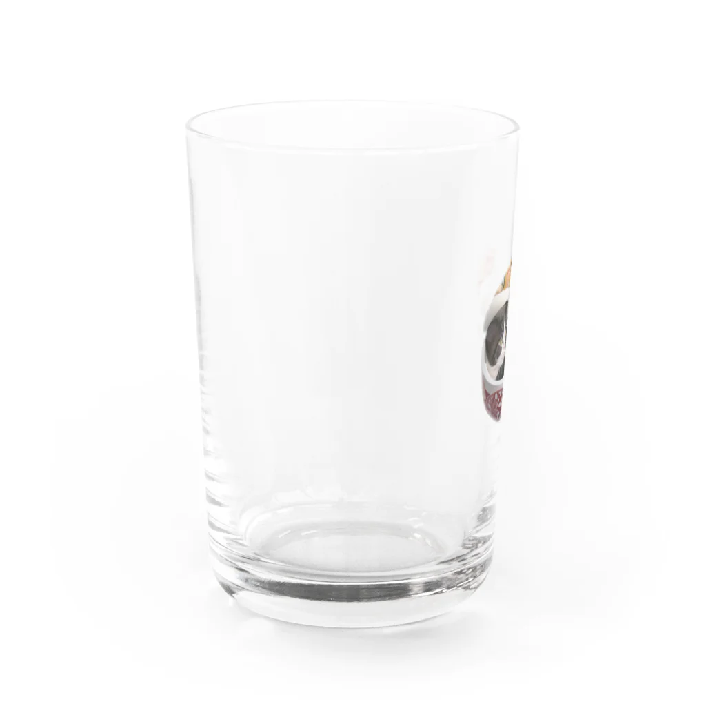 tototown2023の突然迷い込んだ子猫ちゃん（アニメVer.） Water Glass :left