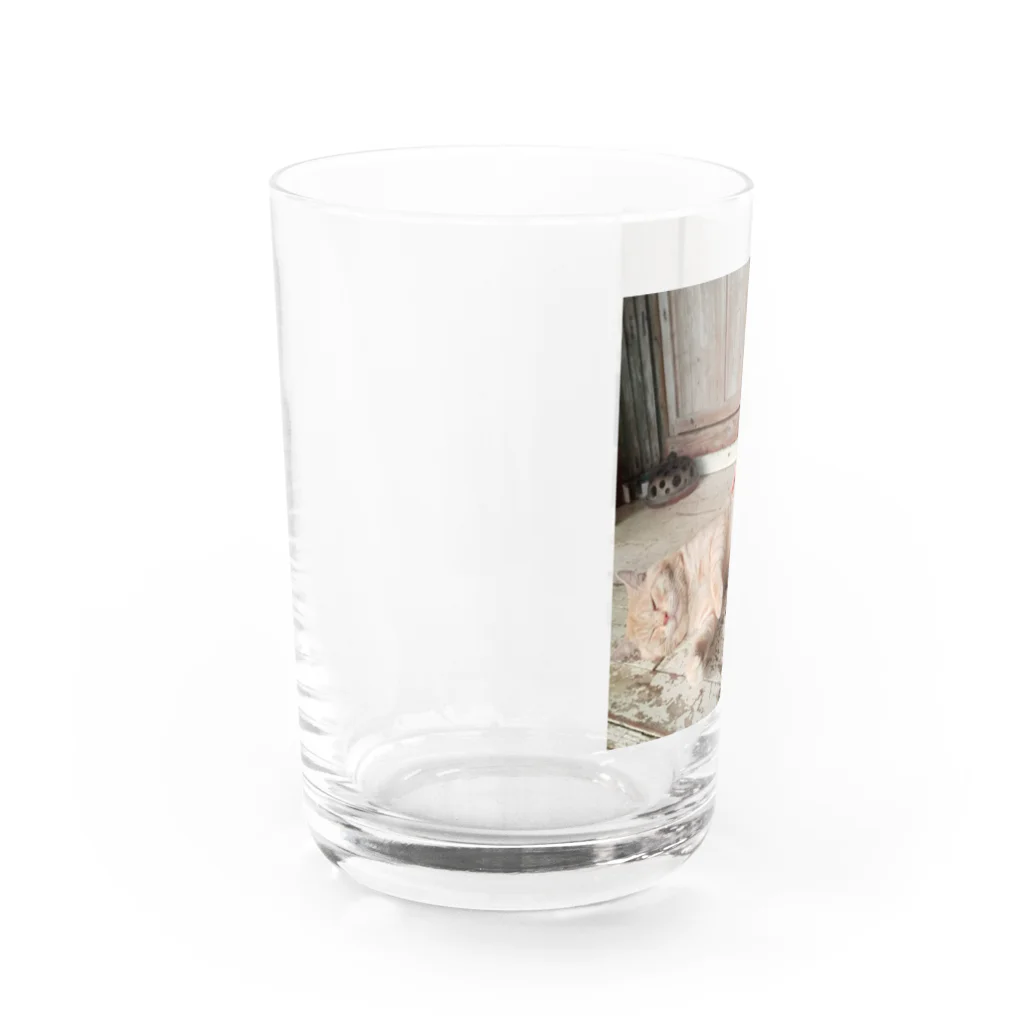 otorasannomiseのトラさんゴロリ写真グッズ Water Glass :left