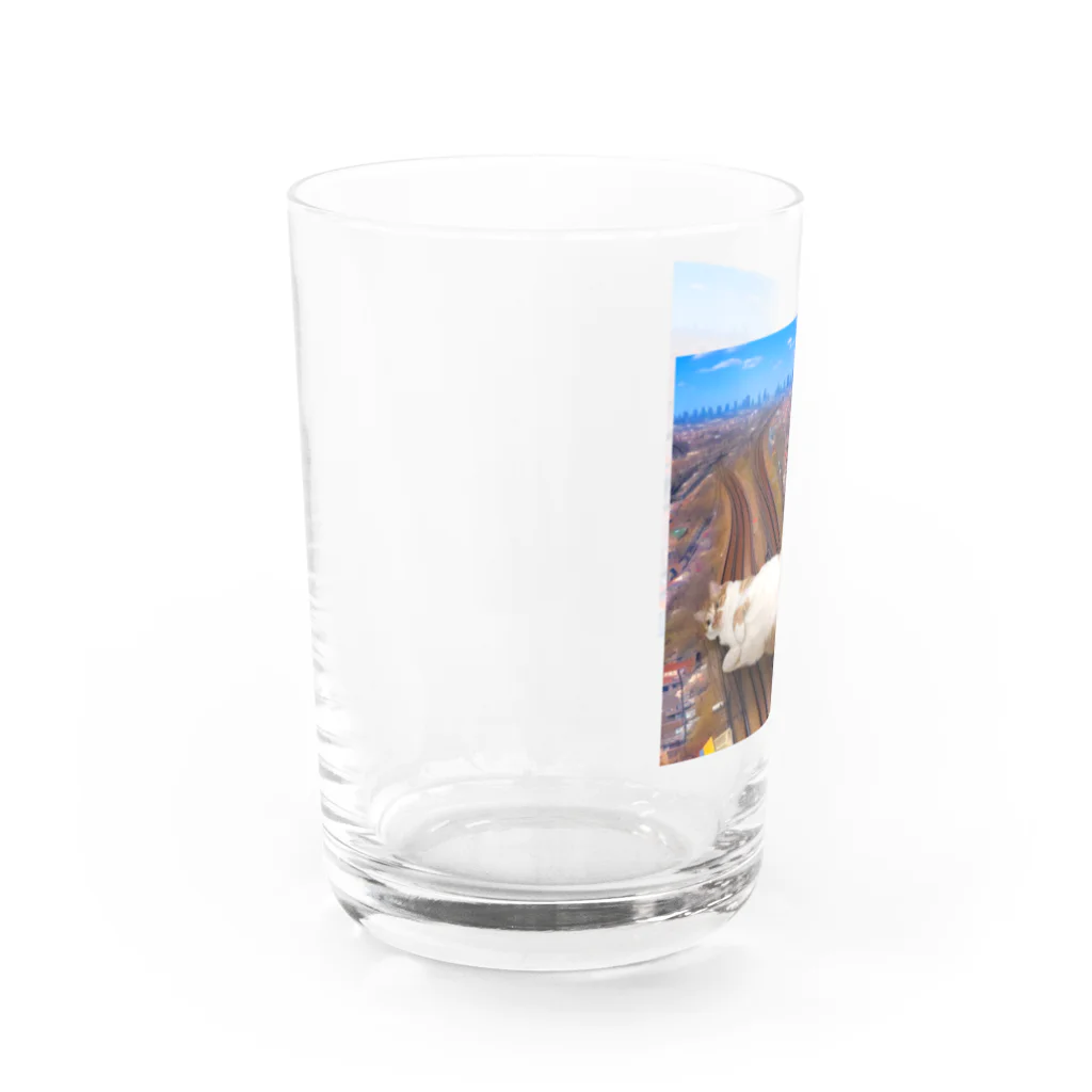 hashiba_のでっかいネコ Water Glass :left