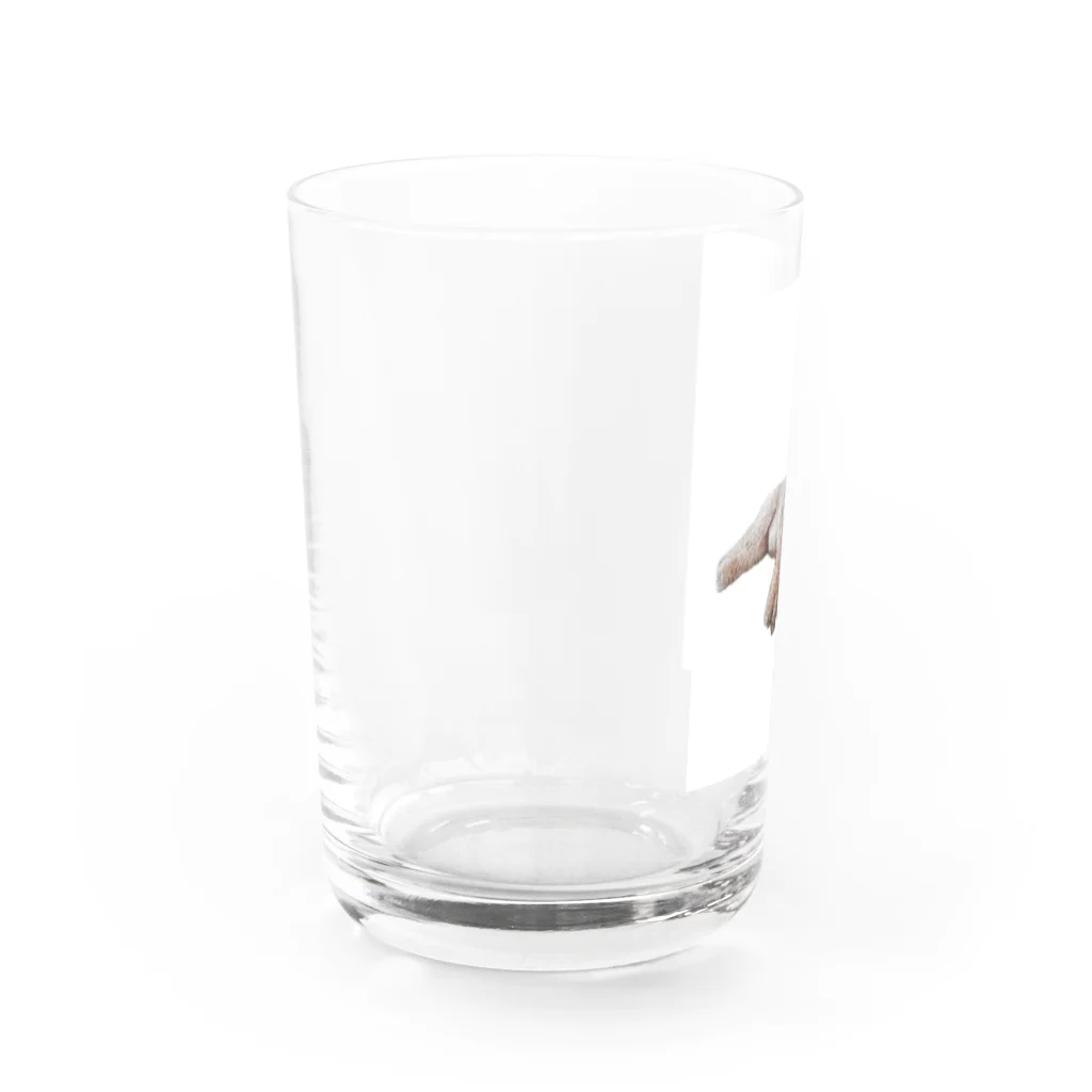 山のくまの犬が落ちてる Water Glass :left