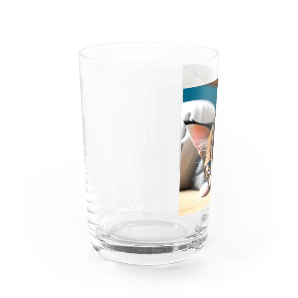 anagram12の見つめる子猫 Water Glass :left