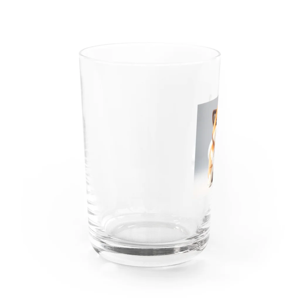 dcgnori／ワンコ画像の愛の使者、オムスビ顔の三角しばちゃん Water Glass :left