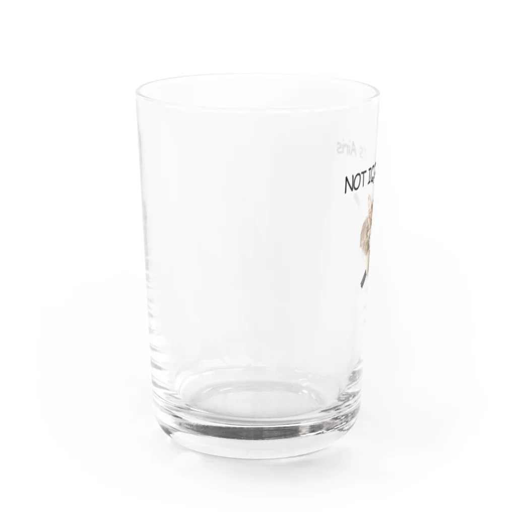 キルアのIt's Airis Water Glass :left